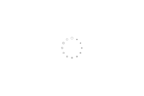 Loading animation